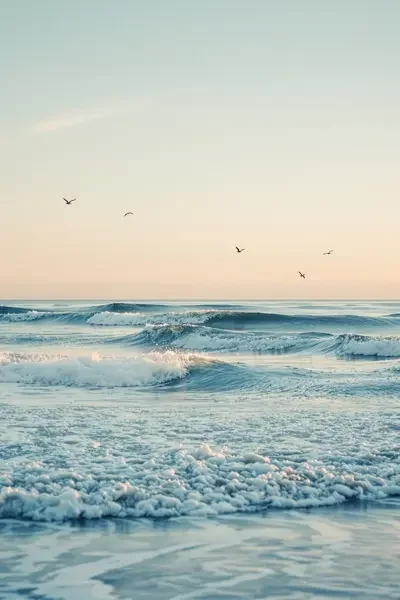 潮声之外 海报